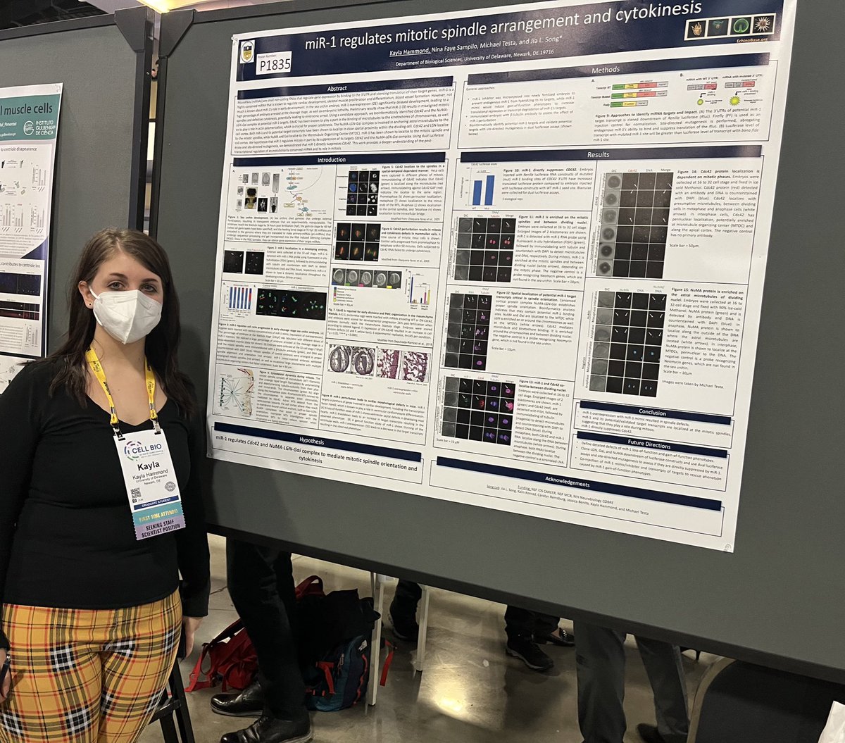 KaylaHammond22's tweet photo. It was a pleasure presenting my work on microRNA-1’s role during mitosis @ASCBiology   this year. Thank you to everyone who stopped by my poster. It was wonderful meeting so many great scientists. #ASCB2022 #Science https://t.co/3TRI0RzD7n