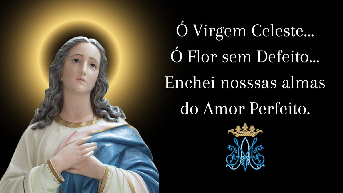 CeuFragmentos's tweet photo. Rogai por nós Santa Mãe de Deus...
#nossasenoradaconceicao #paudosferros https://t.co/65tahTdhcE