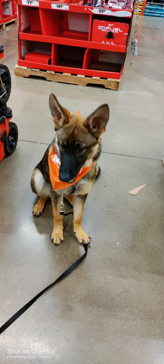 Max Hamdan (@max_hamdan) on Twitter photo 