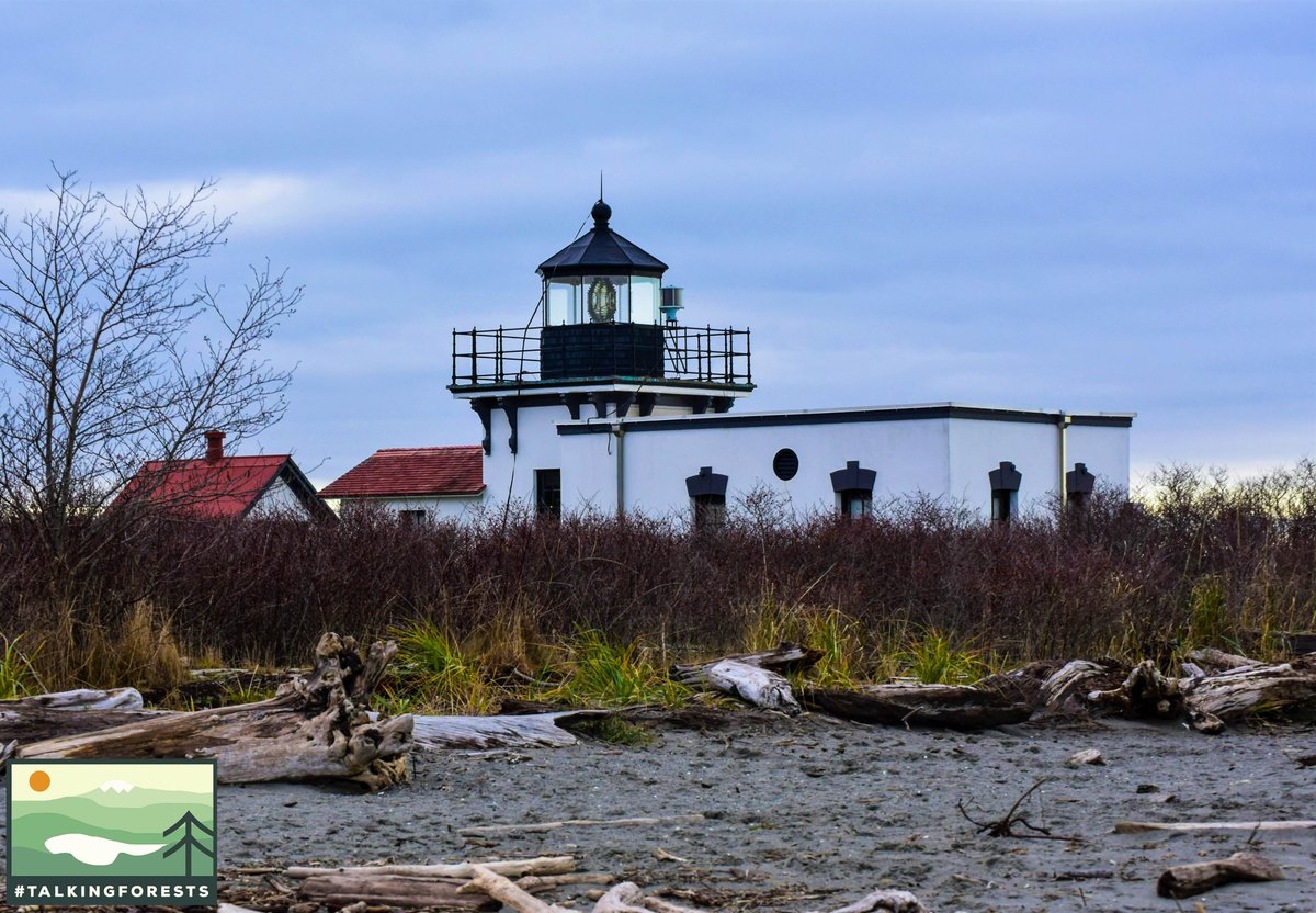 talkingforests's tweet photo. Point No Point Lighthouse on the Kitsap Peninsula of WA State has some amazing beach access and driftwood. So happy to be able to see these coastal towns again. Bring me all the moody scenes 😍🌲
#TalkingForests #Forests #Forestry #ForestProud https://t.co/9SBgQ9Ml0e