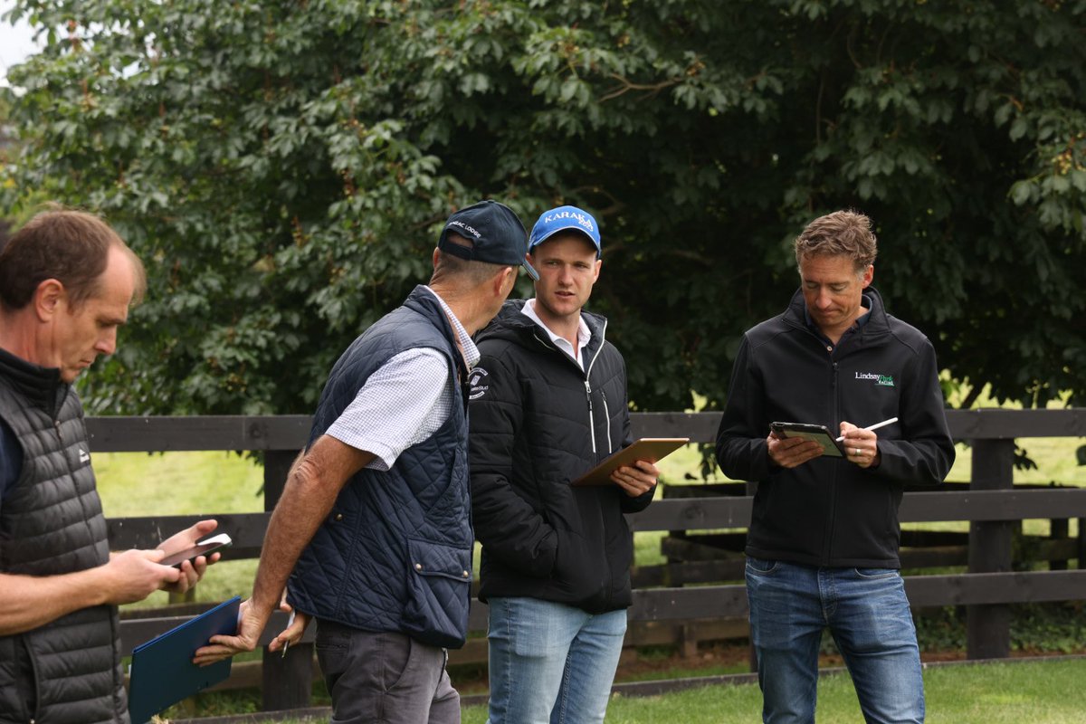 New Zealand Bloodstock on Twitter "Great to have JD Hayes and Josh Rix