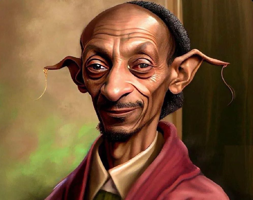 tiiosirius's tweet photo. Snoop Dobby ? https://t.co/gpxw7gRqbr