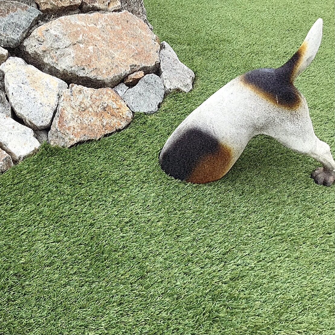 raq_tweet's tweet photo. おはようございます🧁🧾🧤

#企業公式が毎朝地元の天気を言いあう 
本日の京都は5℃
窓の結露に悩ま��れます💭🇸🇪

今回 初めて#を使ってみました❤︎
いつもより反応がよければ、また色んなタグ付けしようかな🏷

では本日も気をつけて、いってらっしゃい📗👜

🎞お顔を見せてくれ(置き物) https://t.co/o40tlS439x
