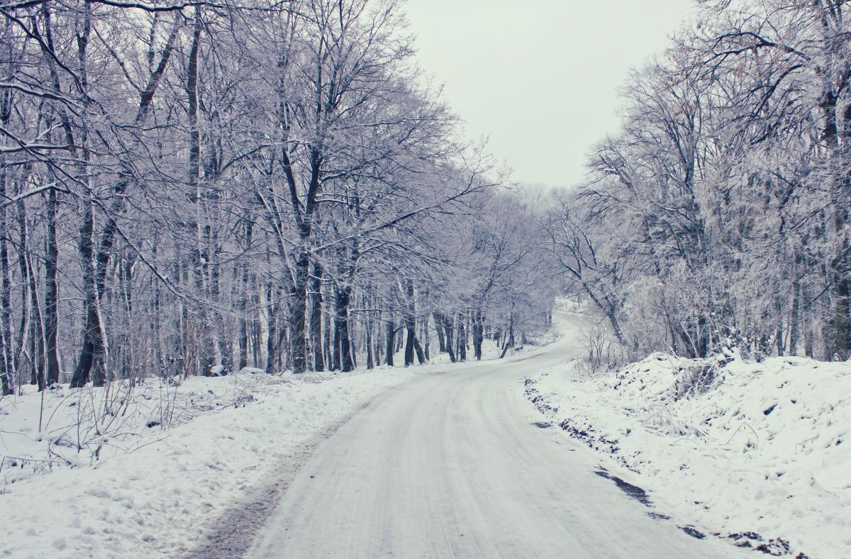 aacpl's tweet photo. Are you ready for severe winter weather? On Wednesday, December 7 at 6:30 pm at Edgewater library, the Anne Arundel County Office of Emergency Management will help prepare you for extreme winter weather. https://t.co/eL2olcKFLO #AnneArundelCounty #WinterWeather #AACPLReads https://t.co/YwX7ExlAzm
