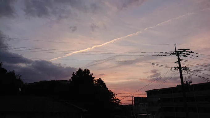 今朝の朝練は久しぶりに4キロ超えできました(^^)ペースも「走ってるんだな」とわかるであろうキロ8分台でした。3km超えたあたりから、ときどきおかしくなるもののほぼ正常な動きができるようになりました。あと少しかも!全快まで(^^)#朝ラン #ガーミン 