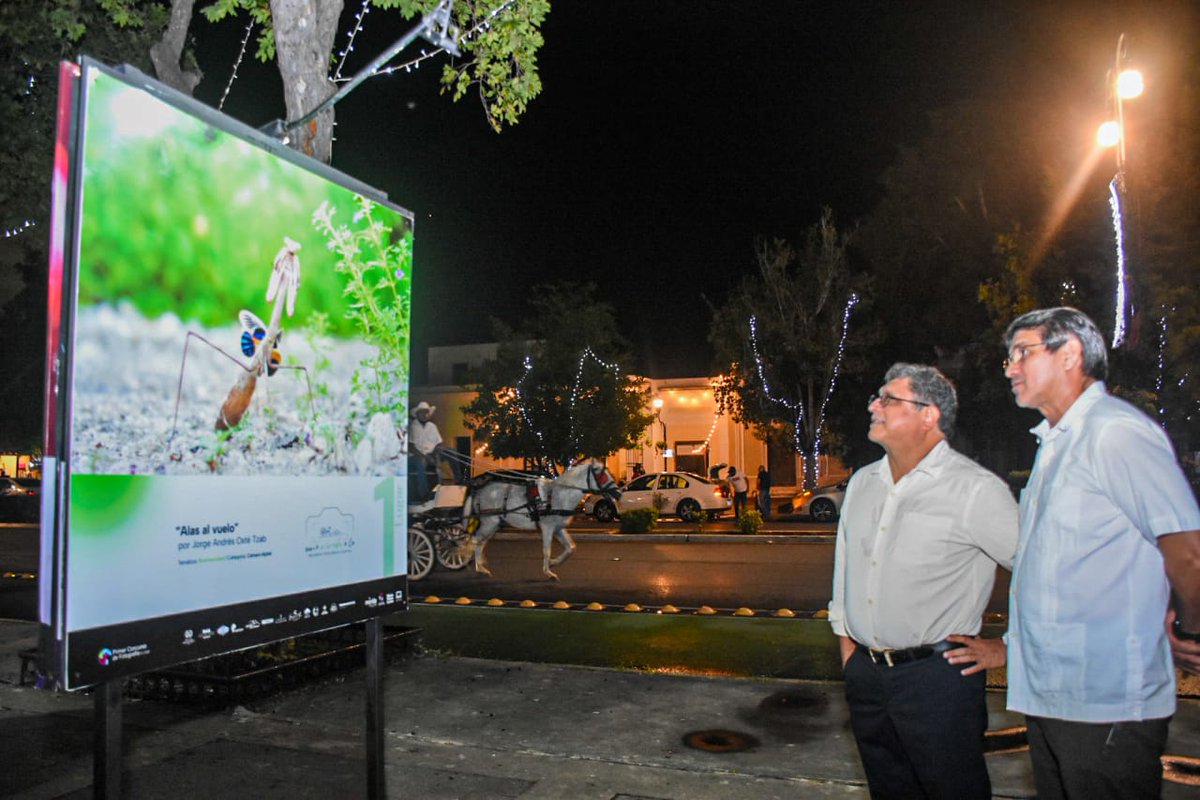 MeridaCultura1's tweet photo. Disfruta la belleza de #Cuxtal.  Durante todo el mes de diciembre recorre la exposición fotográfica del concurso “Una mirada a la Reserva Ecológica de Cuxtal”, frente al Museo Palacio Cantón, en la que se retrata el valor ecológico social y cultural de la reserva. @RenanBarrera https://t.co/N8hvGCcpdV