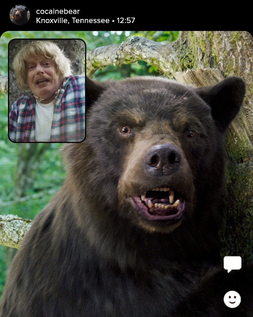 bears can climb trees.
