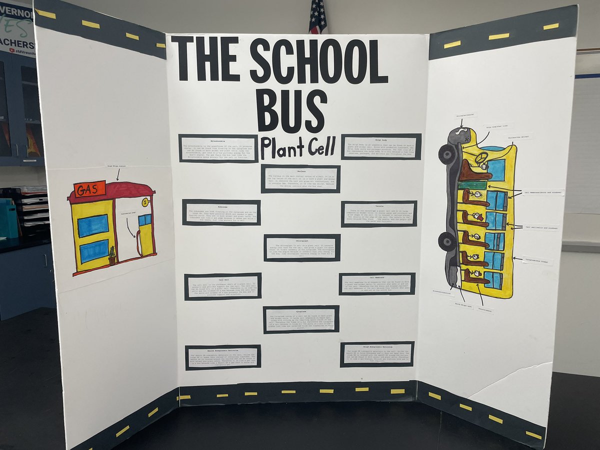 hannon_leah23's tweet photo. Even though Coach Brown fell asleep at the wheel, Grade 7 students still managed to share their school bus replica of how plant cells work. #passiondriveslearning #inquirybasedlearning https://t.co/96PecwwDEi