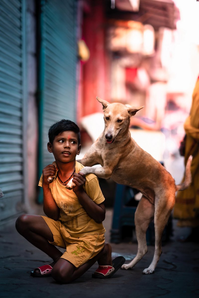 Excited to collect this meaningful photo by @behayaNFT 

This photo perfectly captures the relationship between canine and boy. The color and lighting contribute towards a positive and empowering “hopeful” vibe that reminds that there is good mixed in with the sad.
