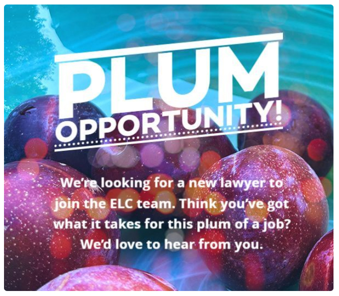 JOIN OUR TEAM --> Collaborate w/passionate students, colleagues &amp; clients to address the most important environmental issues of our time #publicinterestlawyer #environmentallaw #clinicaleducation 
Details here: lnkd.in/gTF93GRe