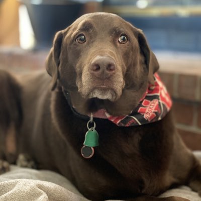 ruemeg123's tweet photo. #NewProfilePic https://t.co/pY6IiPcZYf