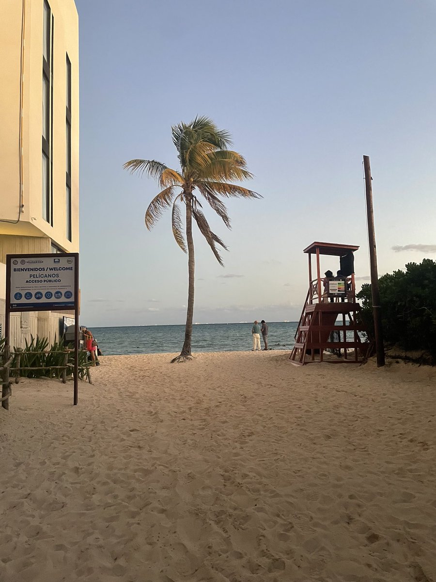 aarinieto's tweet photo. PDC 🧡☀️ https://t.co/RR7AgGMEIH