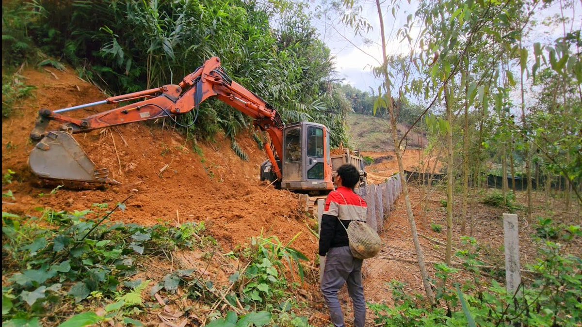 Excavator paved the way to ...
 
#AnimalHusbandry #Breed #BuildingLife #ChickenBreeding #Farm #GardenSupplies
 
allforgardening.com/337281/excavat…