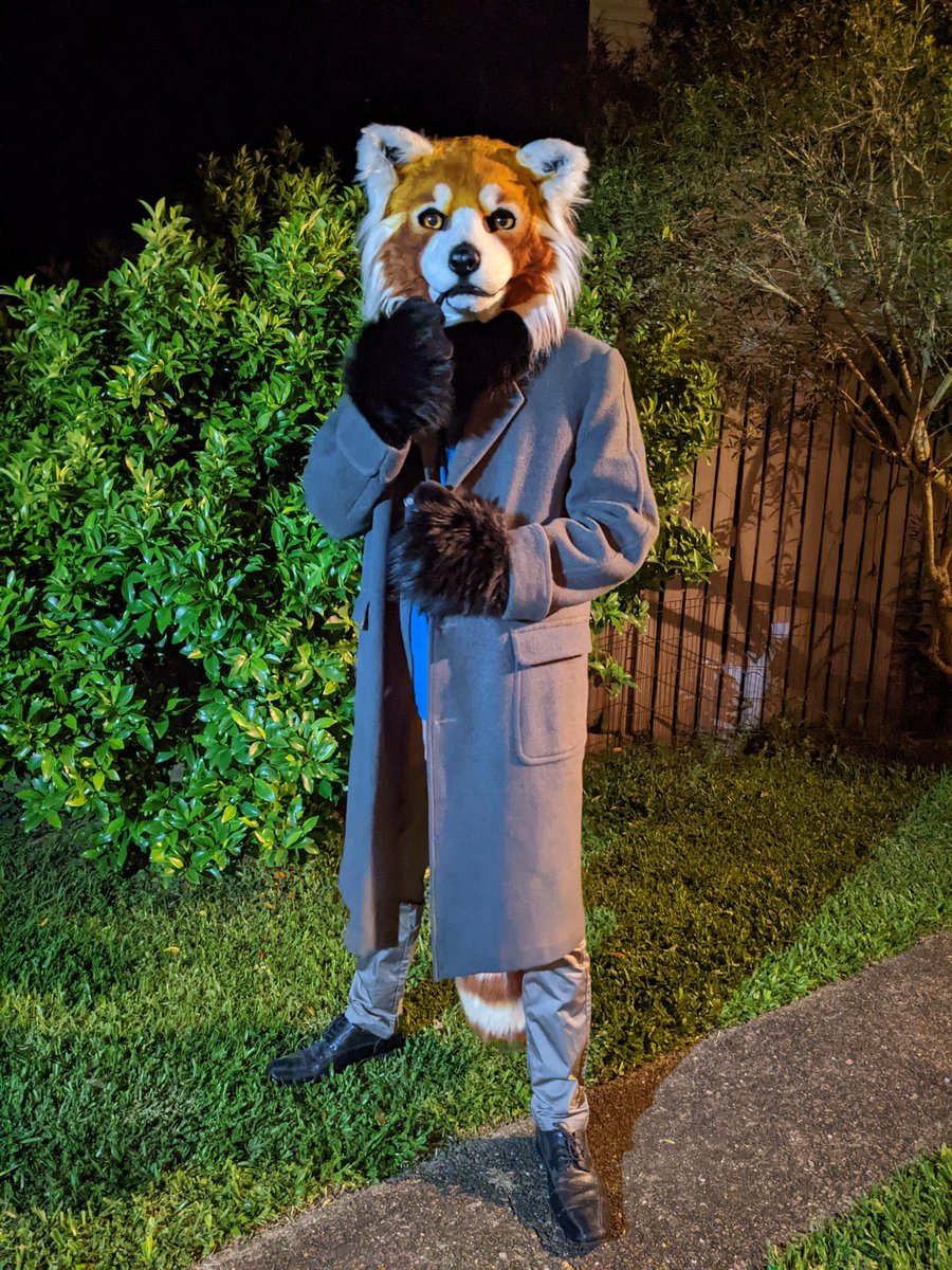 RedCatbearThing's tweet photo. Sherlock Panda or something
🪡 @SarahcatFursuit https://t.co/OIHGbOOIis