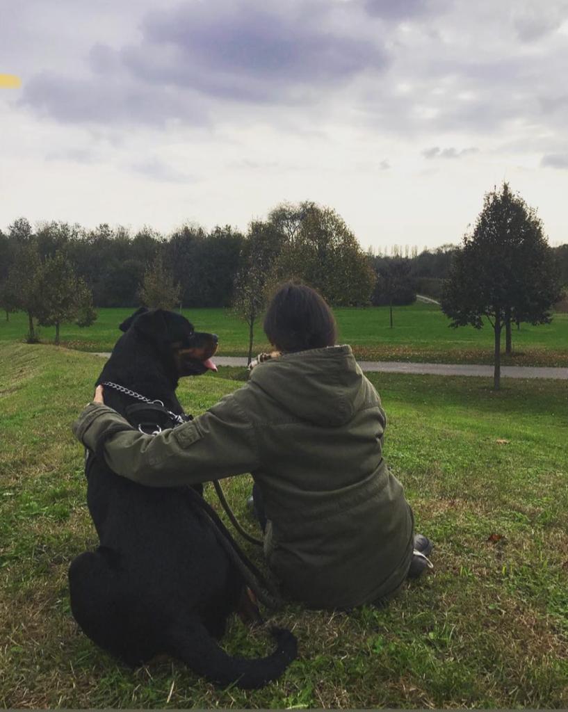 karl_grozny's tweet photo. She was the real family boss and OG, we'll deeply miss you Petra 🥲.
#rothweiler #pet #dog #rip #willbemissed #animal #family #friend #loyal
@lisaleelawadee
https://t.co/guHbUxWWsj https://t.co/IBae85vEHJ