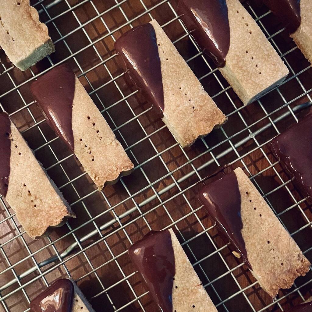 shannon weber tweet media