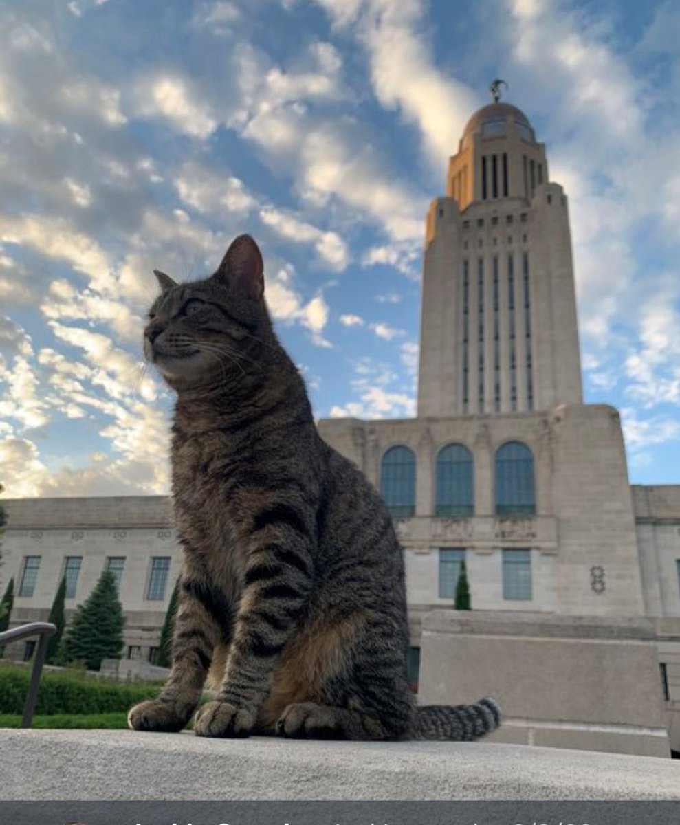 Send! I have applied to be appointed as the next US Senator from Nebraska.  I will be an applicant, just like anyone else. I love this state and would love to look for additional ways to help the people of Nebraska. And this may be one of those opportunities. #NEsen #NEleg