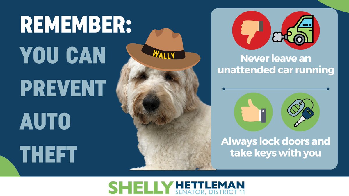 shellyhettleman's tweet photo. Help yourself and @BaltCoPolice this winter! Police Community Relations Council meetings share data each month on stolen vehicles and guess what -- the overwhelming majority of stolen cars are due to owners leaving their keys in their cars! Please take note -- https://t.co/Saahijr3in