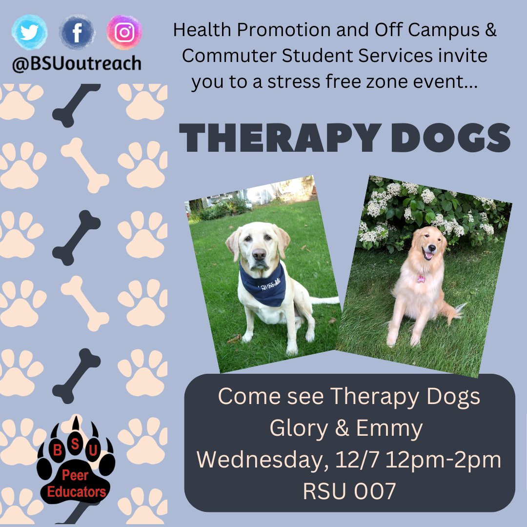 BSUOutreach's tweet photo. More Stress Free Zone fun with therapy dogs. Join Health Promotion & Off Campus and Commuter Student Services for a visit with Emmy and Glory. RSU 007, 12p-2p, 12/7 #BSUoutreach #ThisIsBSU #BSUHealthPro https://t.co/S6g0BWTRDp