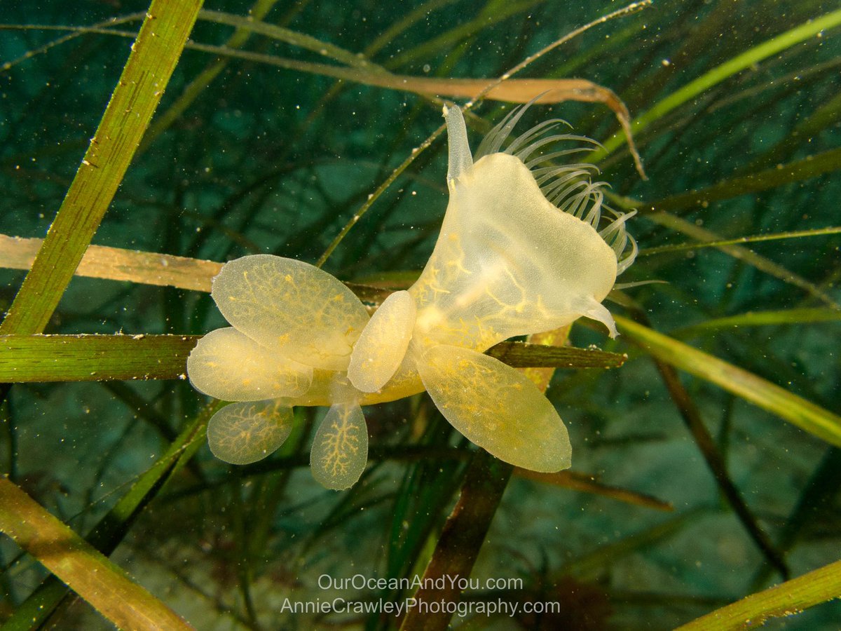 anniecrawley tweet media