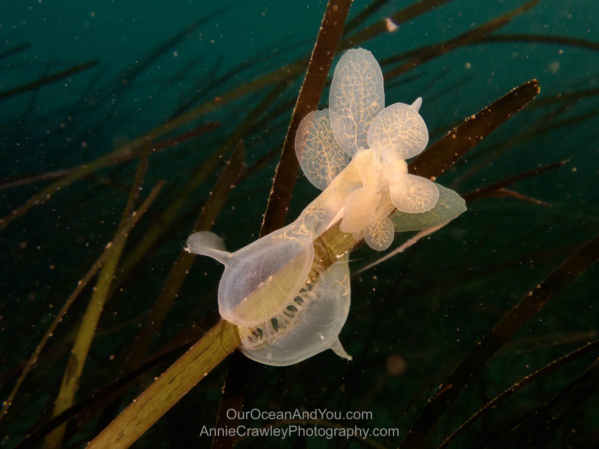 anniecrawley tweet media