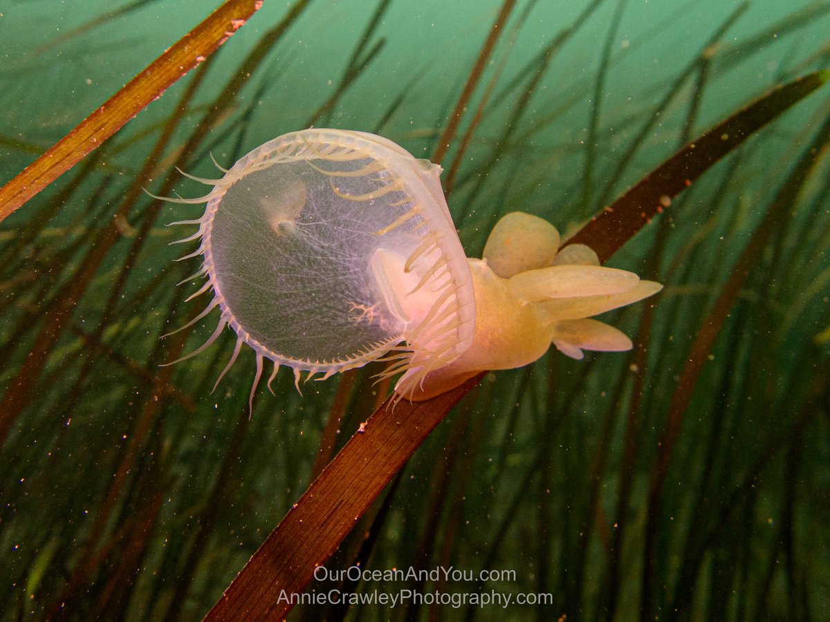 anniecrawley tweet media