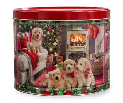 Damien Scott tweet media