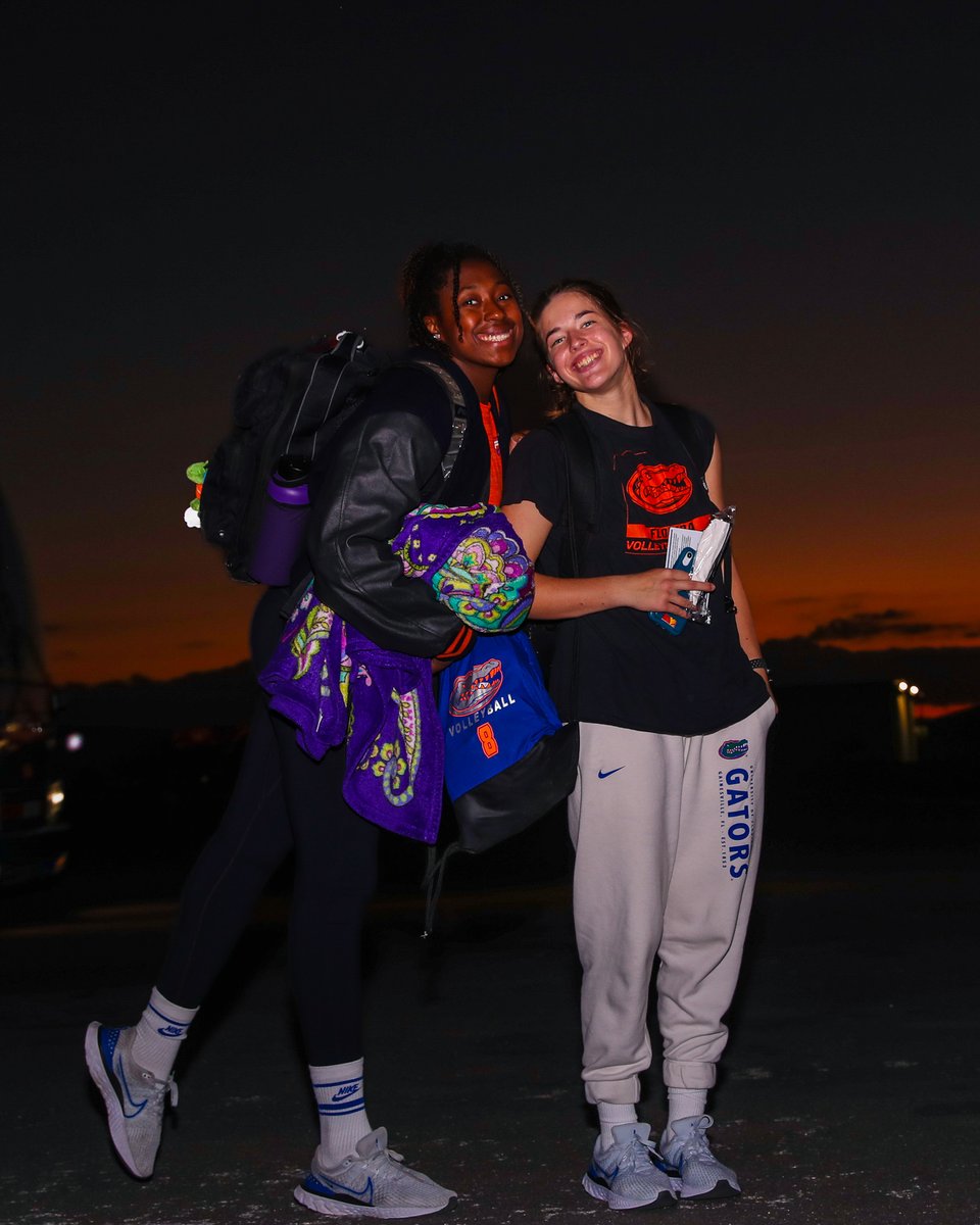 Gators Volleyball tweet media