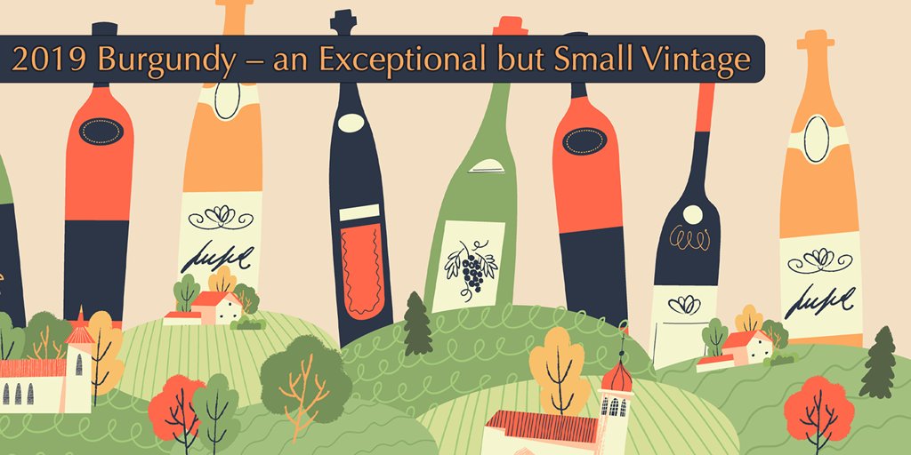 MacBeverage's tweet photo. We are thrilled to offer up even more spectacular Pinot Noirs from this fantastic vintage; many are at the lowest price in the USA!
#sommelier #somm #winepro #wineenthusiast #winelover #oenology #wineworld #wine #vino #instawine #winestagram #vin  
https://t.co/cNYQo315JU https://t.co/DQwCAsOyvT