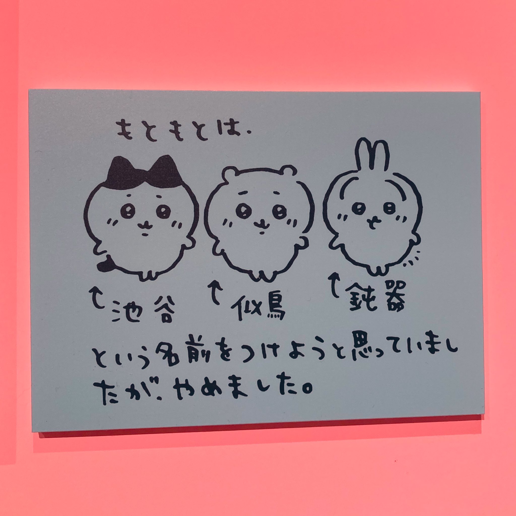 まめのこページ ひよこまめ(*´꒳`*) on X: