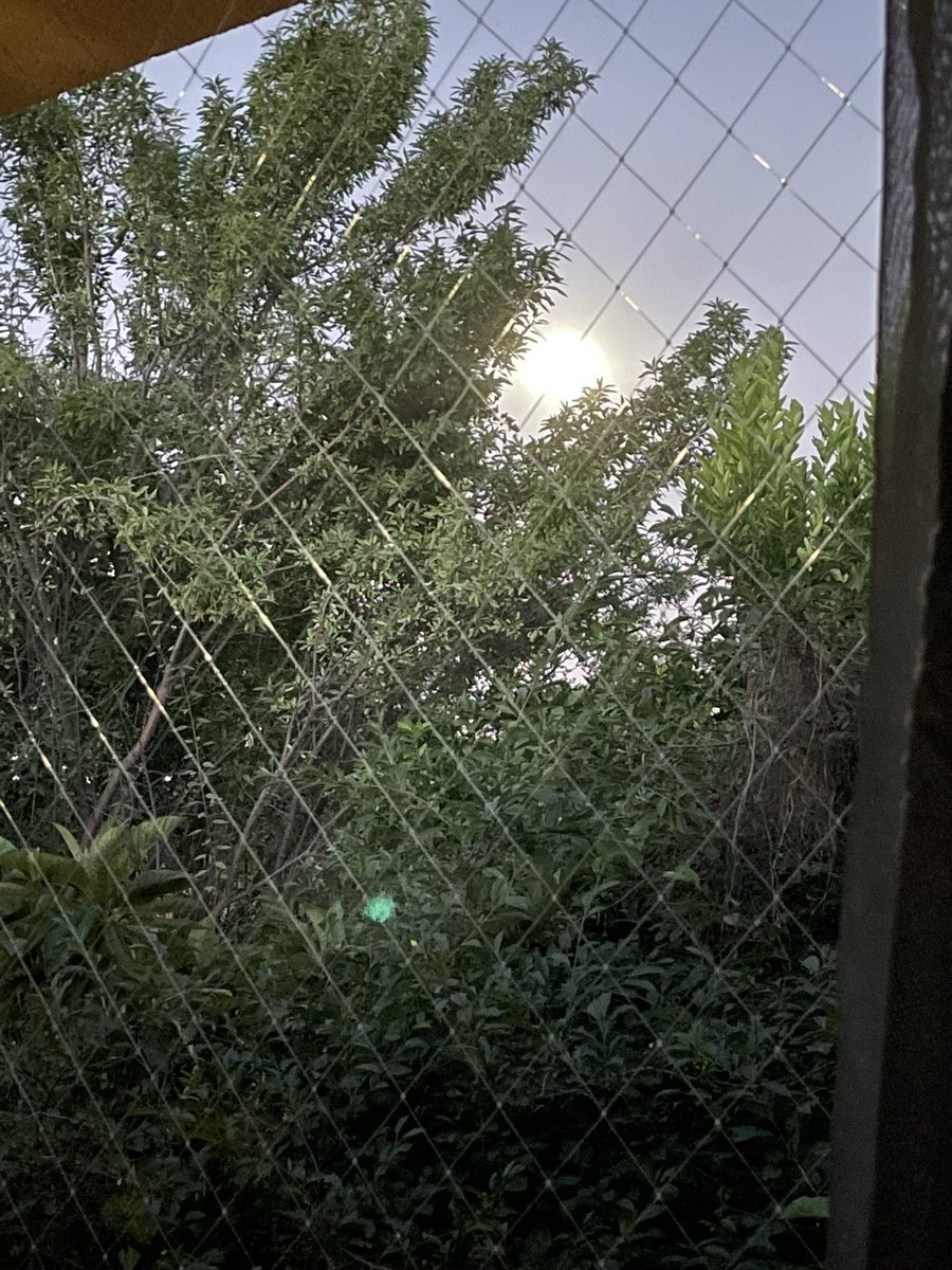 psconnifera's tweet photo. Hermosa la luna hoy 🧡 https://t.co/agc30pHNcr