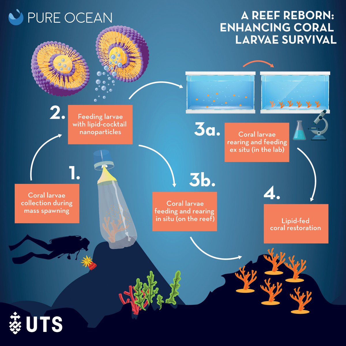UTS C3 (@uts_c3) on Twitter photo Did you know more than half of the corals have died in the last 20 years at the Great Barrier Reef
C3 researcher <a href="/tinyscientist/">Jennifer Matthews</a> is teaming up with <a href="/PureOceanFund/">Pure Ocean</a>
to fix this
Their work investigates the vital nutrients for coral to thrive
Read more here pure-ocean.org/en/nos-projets… Did you know more than half of the corals have died in the last 20 years at the Great Barrier Reef
C3 researcher <a href="/tinyscientist/">Jennifer Matthews</a> is teaming up with <a href="/PureOceanFund/">Pure Ocean</a>
to fix this
Their work investigates the vital nutrients for coral to thrive
Read more here pure-ocean.org/en/nos-projets…