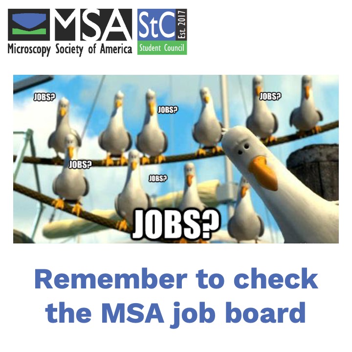 MSAStudent's tweet photo. Remember to check the MSA job board!
https://t.co/jDFGAE3Cs8 https://t.co/H6r0T3Oesw