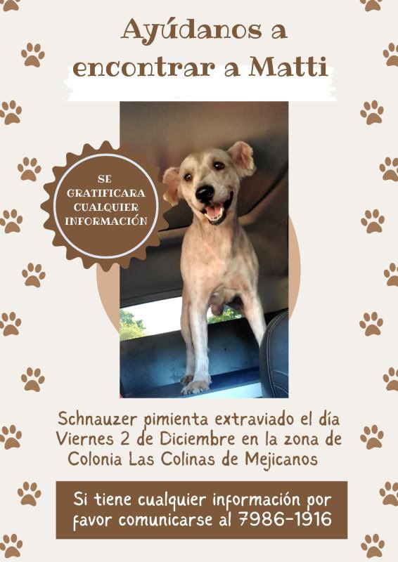 DameTuPatasv's tweet photo. SE BUSCA !!! https://t.co/Sc6F4PxCRJ