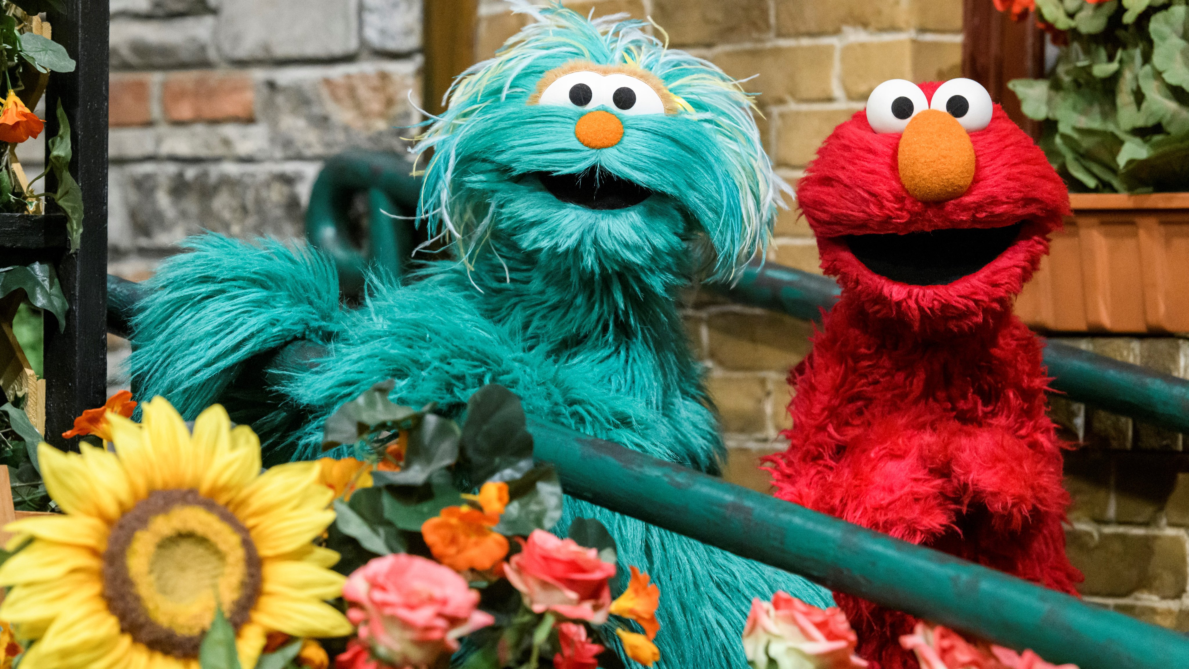 Elmo on Twitter: "Happy birthday, Rosita is special because is kind, talented, gives the best hugs. ¡Elmo te ama! (Rosita taught Elmo how say that!) https://t.co/47PvlBZGK7" / Twitter