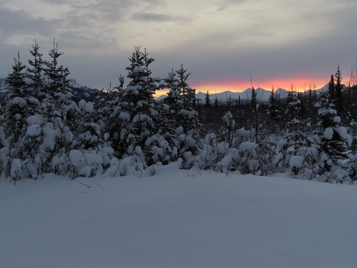 DenaliNPS tweet picture