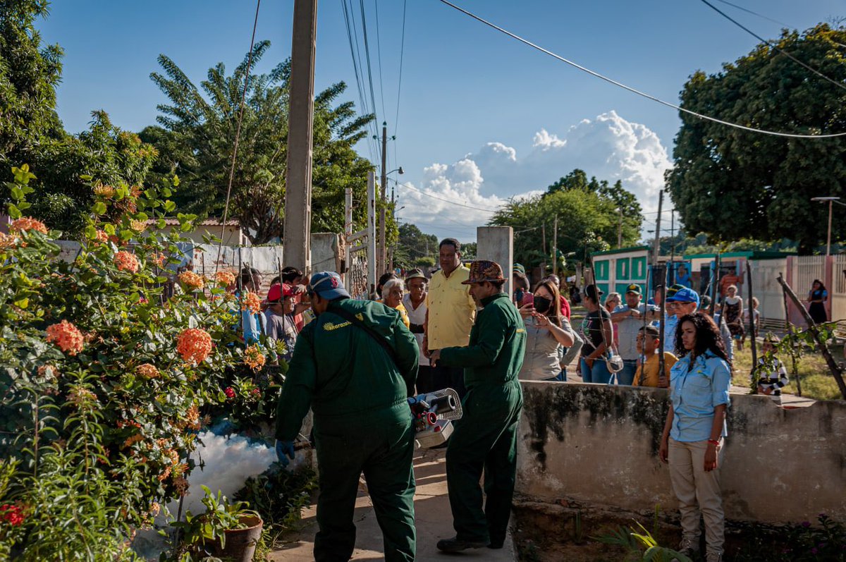 RafaelRamirezC's tweet photo. ¡Sigue nuestro operativo de fumigación! Hoy estuvimos en la parroquia Idelfonso Vásquez casa a casa en los barrios Chino Julio, Catatumbo y Brisas del Norte. 

Nuestro objetivo es ir eliminando esos puntos de dengue que afectan a las familias en las comunidades. https://t.co/Js7D81VUXi