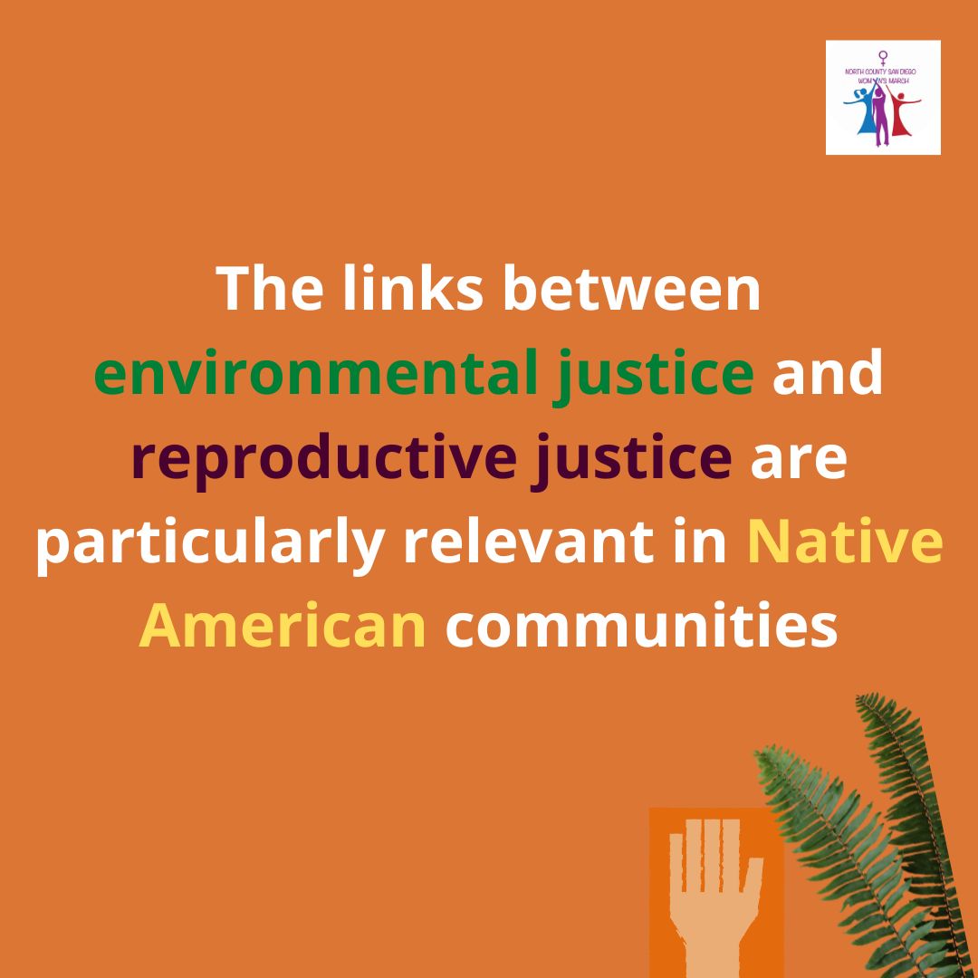 MarchNcsd's tweet photo. The Links between Environmental Justice and Reproductive Justice....
#womxn #reproductivejustice #environmentaljustice #nativeamerican #womxnrights #nativeamericanwomen https://t.co/5lgcfe3A6V