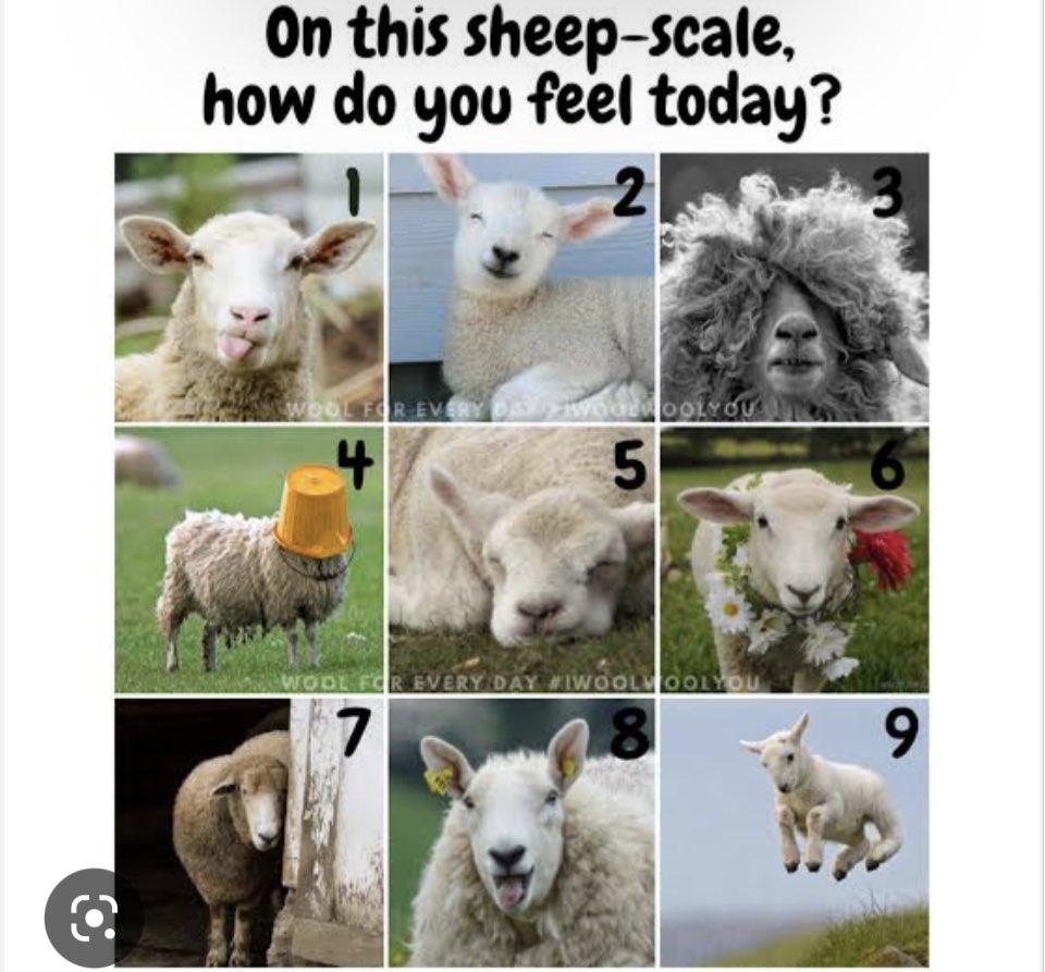 New wool and cotton podcast with our new #wool and #cotton analyst <a href="/Edward_McGeoch/">Edward McGeoch</a> will be released 8am next Wednesday on the Raboresearch AU &amp; NZ podcast channel. #agchatoz