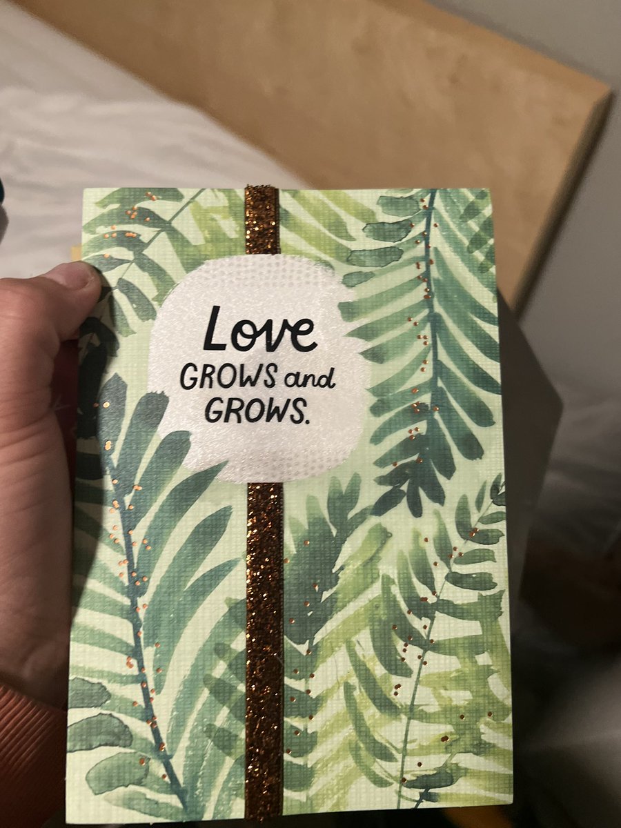 kyleighbustos's tweet photo. the fact that i had to BEG my ex to give me any sort of even compliment… but my bf just coordinated with my roommate getting this in my room to surprise me after work…. JUST BECAUSE… bro… the wait is worth it https://t.co/Q6NOHCh1o7