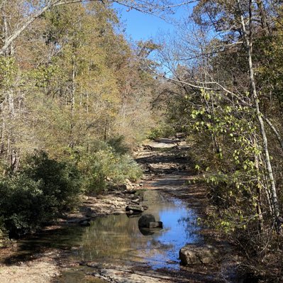 Brenda Jordan tweet media