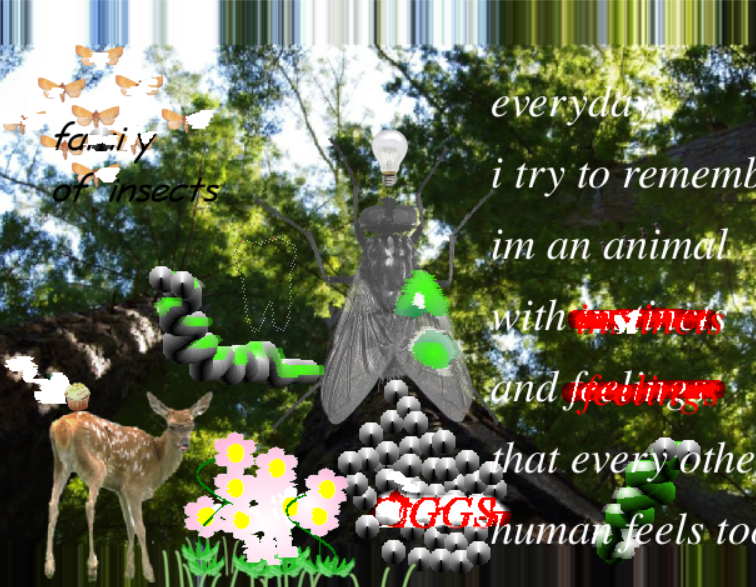 lau ( ◜◡༎ຶ)⟡ tweet media