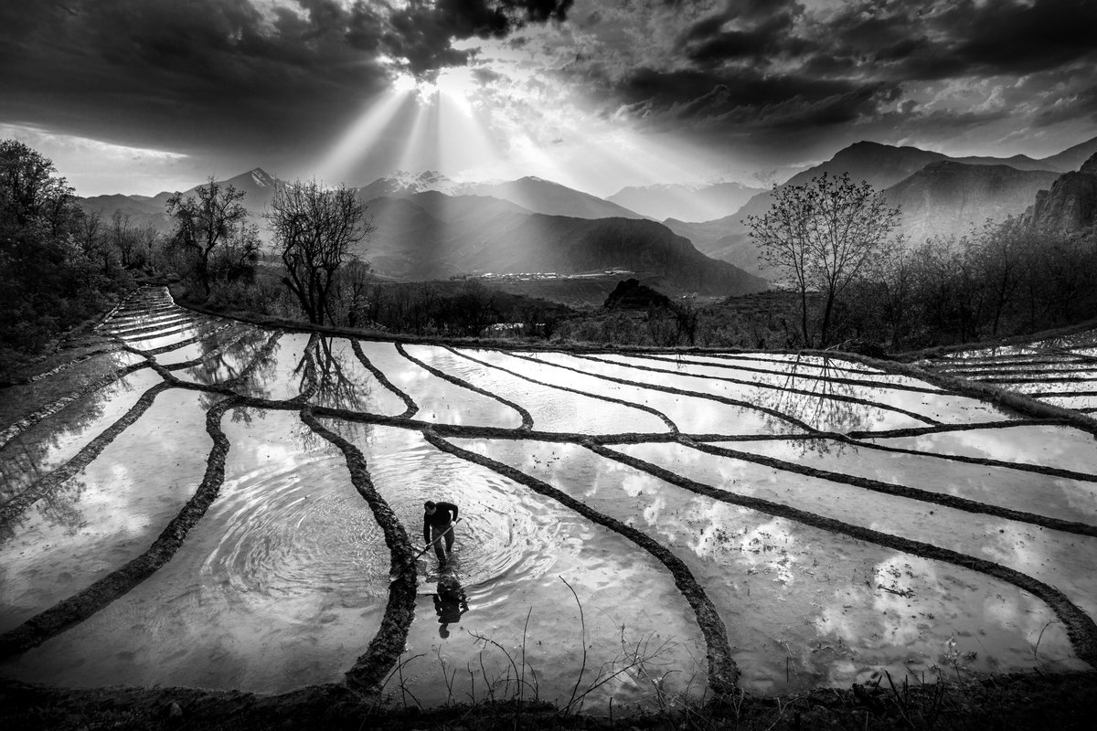 Paddy field
My HIPA 2022 finalist photo tells the story of a farmer working in a paddy field. The setting sun and rays behind the mountains were beautiful.
 foundation.app/@seyitkonyali/…
Edition : 1/1
Reserve : 0.2 eth
#NFTCollection #nftphotography #NFTCommunity