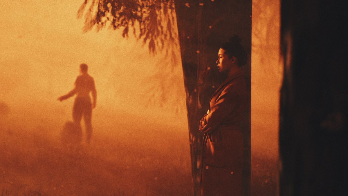 Sean Conte tweet media