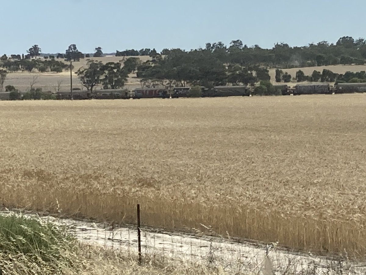 JJB McGill esquire Hoolz. living on McGill land tweet media