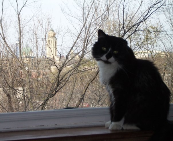 PercyFuzzyboots's tweet photo. #December6 is a solemn date in our home, as we remember the 14 women murdered by a misogynist for the crime of wanting an education. Staff and I lived so close to #EcolePolytechnic we could see the site of the massacre from our living room window.
#ViolenceAgainstWomen https://t.co/7tGHk44eCv