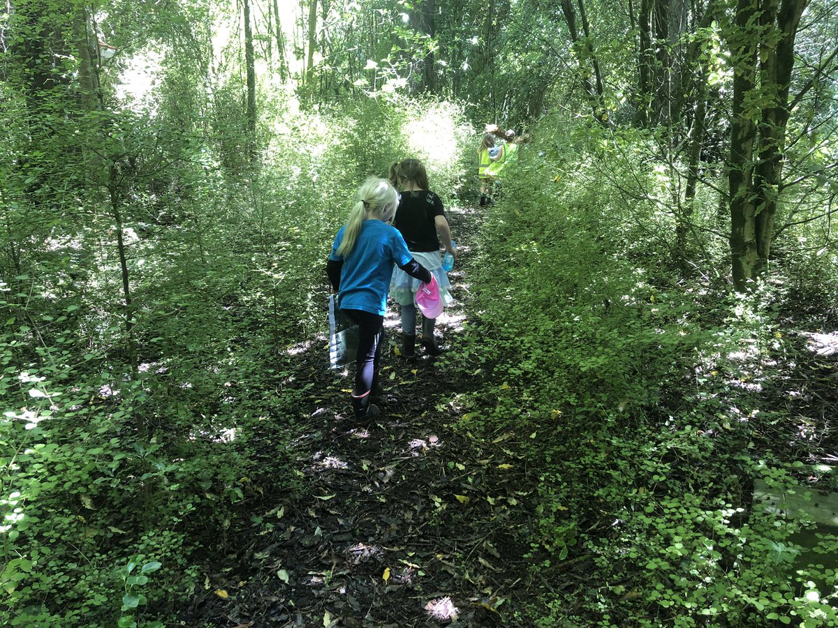 DWithington tweet media