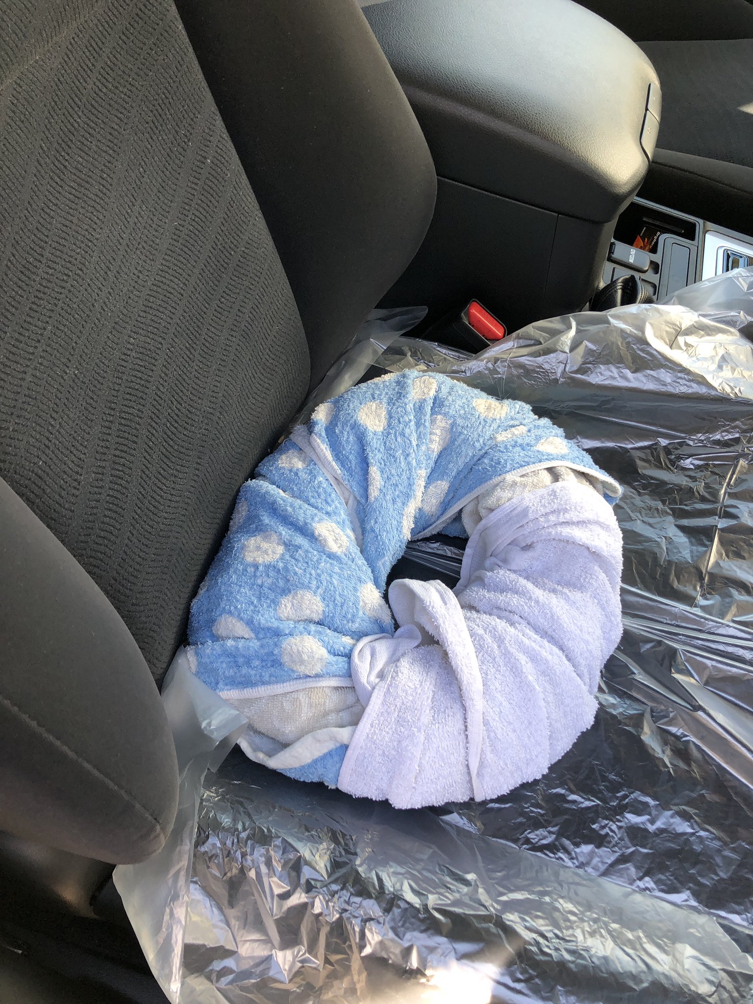 Watabe W Atabe Twitter