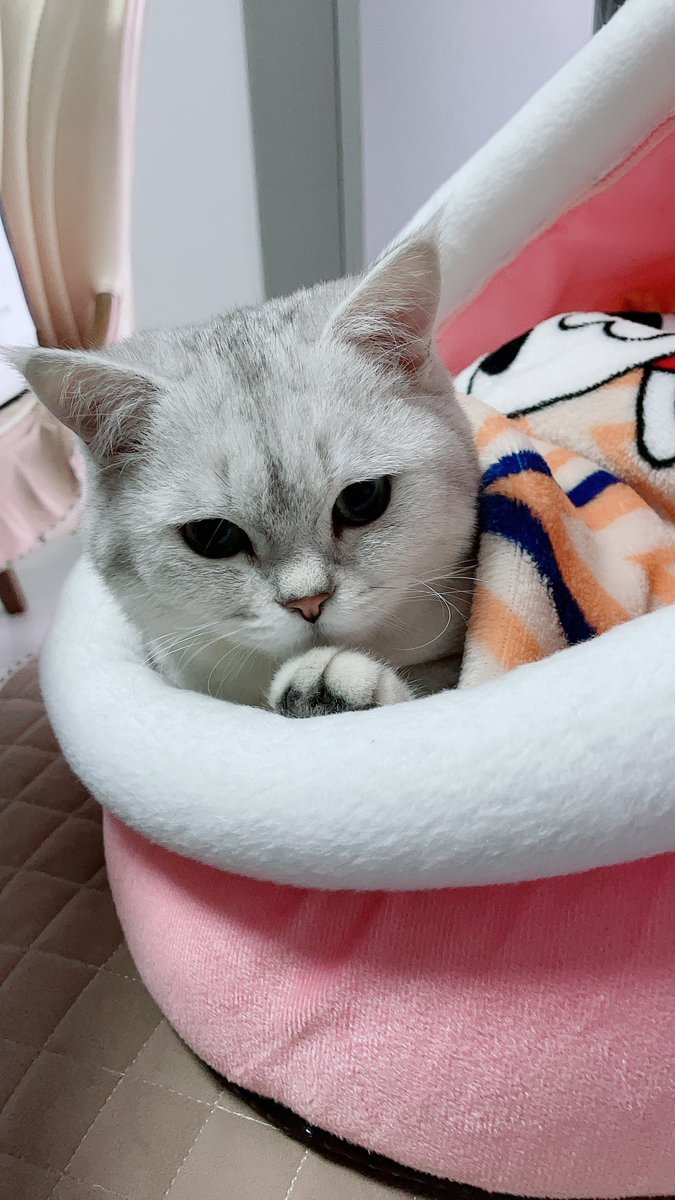 hameng1218's tweet photo. https://t.co/t4MBFCyI9n