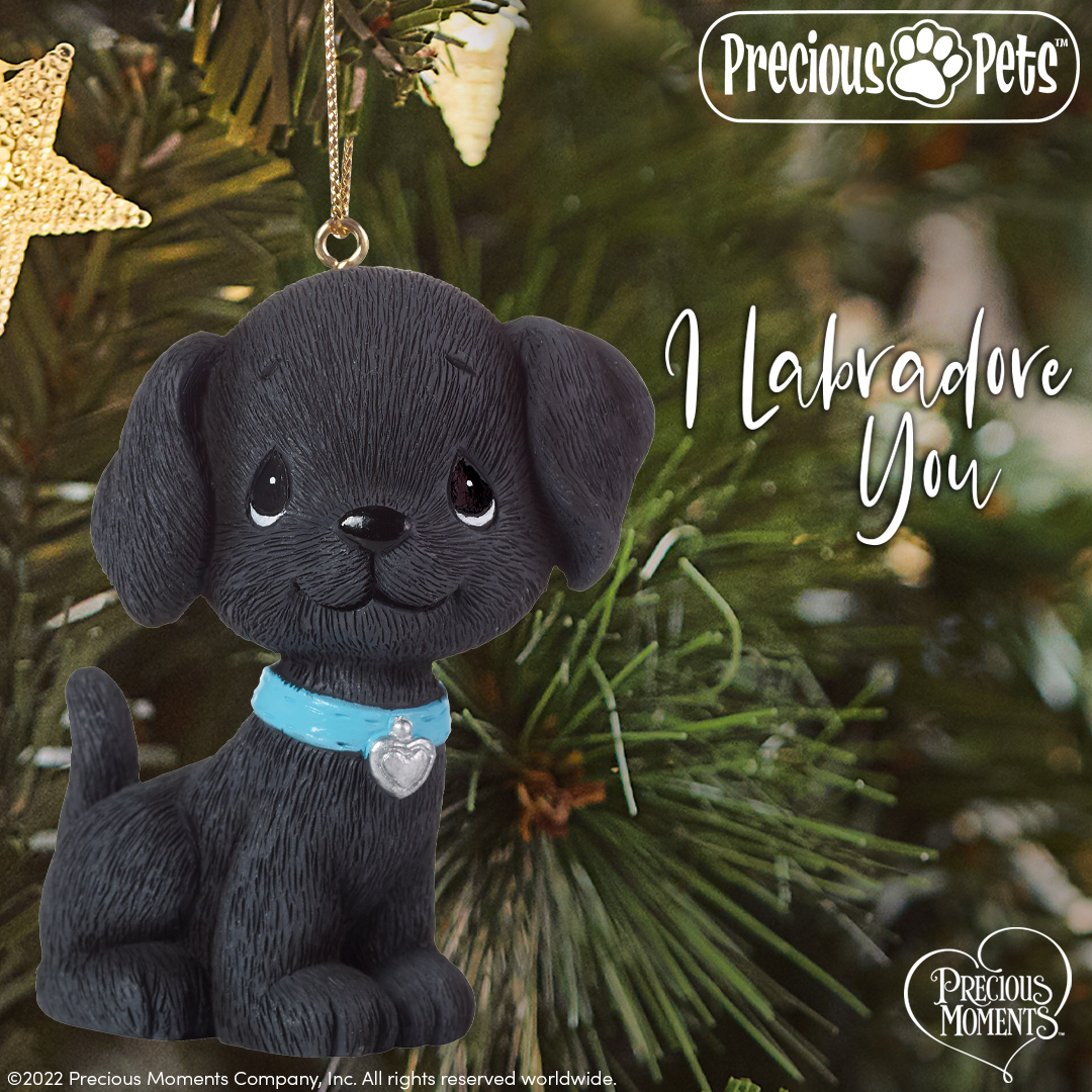 preciousmoment's tweet photo. This black lab ornament is perfect for anyone you “labradore”! Personalize it with the name of a pet or date to remember a birthday or “gotcha” day. 🖤
https://t.co/4OmT7Ojd0T
#PreciousMoments #LifesPreciousMoments #PreciousPets #DogDecor #GiftsForDogOwners https://t.co/rcMt7ufjxo